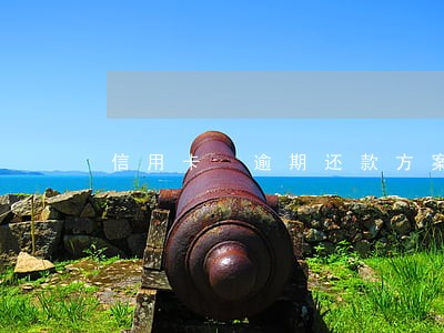 信用卡 逾期还款方案